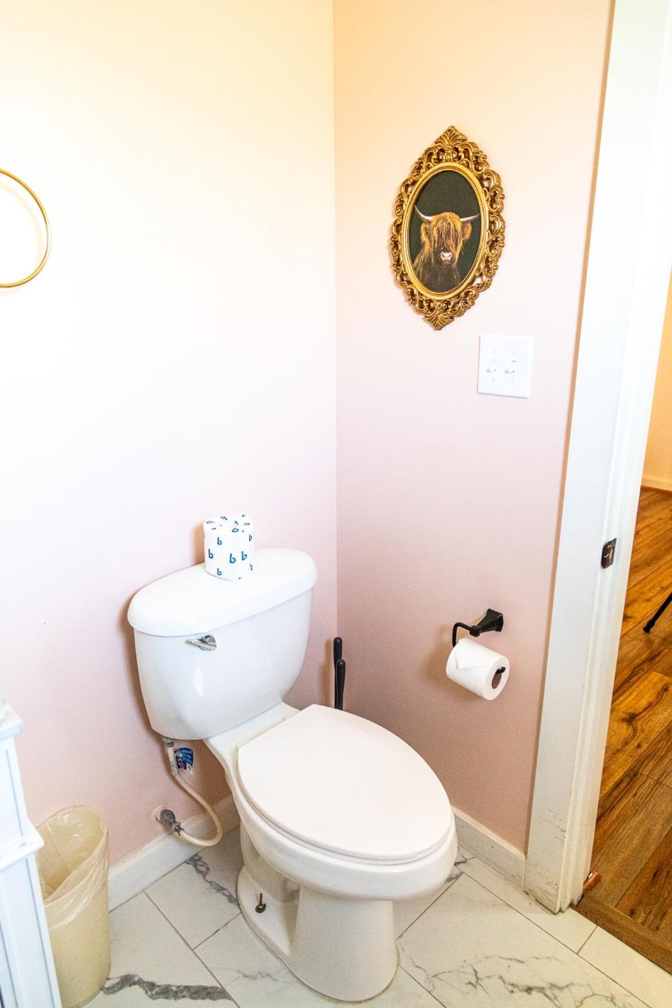 تومبستون Sagebrush Inn الغرفة الصورة A toilet with a toilet paper holder