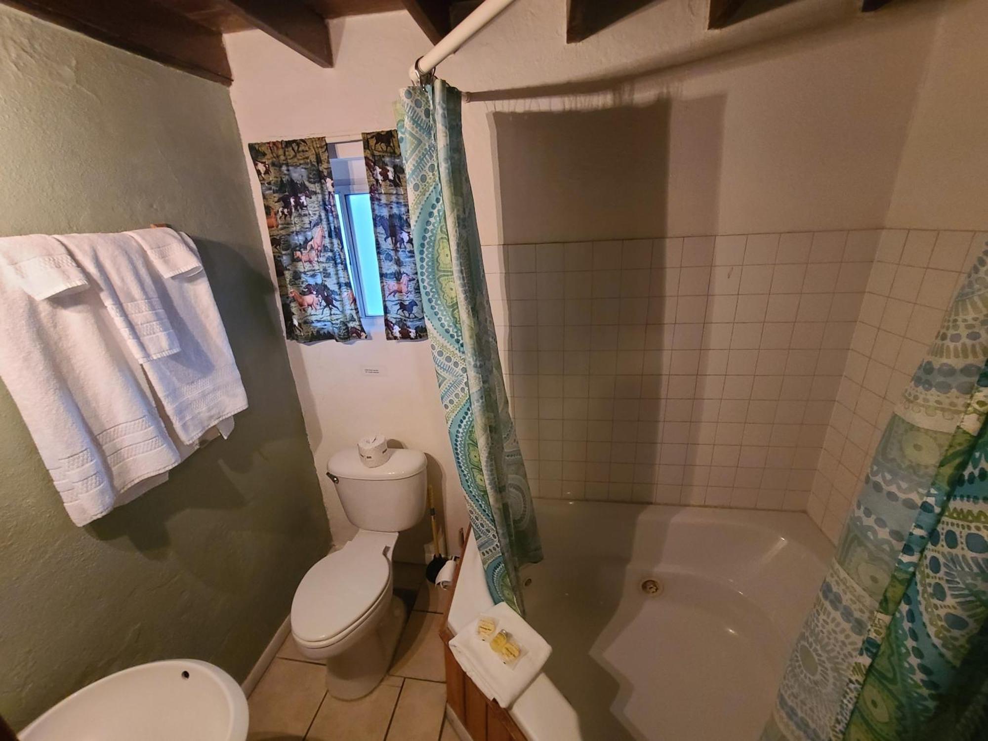 تومبستون Sagebrush Inn الغرفة الصورة Bathroom in a typical hotel room
